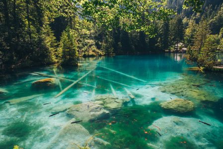 Mountain Lake in the Alps