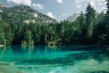 Transparent Mountain Lake