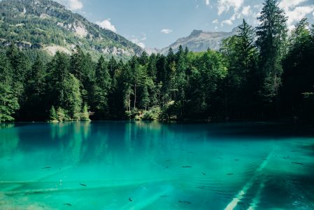 Mountain Lake Reflection