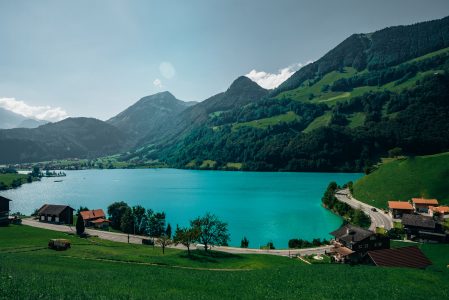 Mountain Lake & Trees