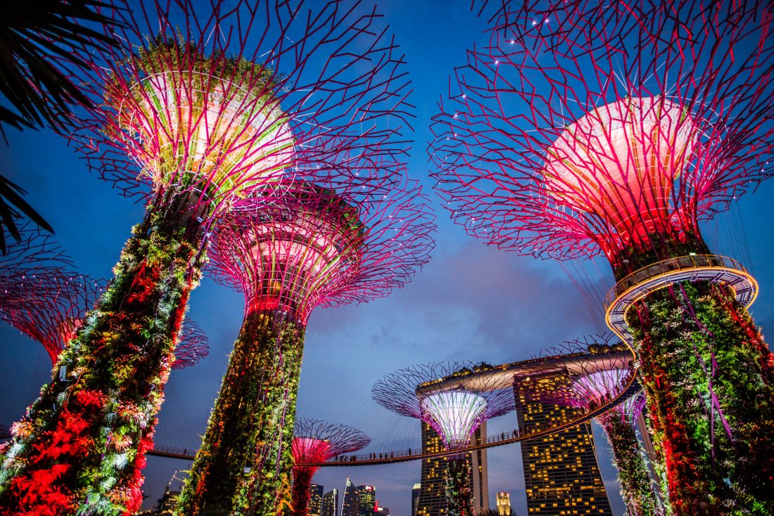 Free stock image of Marina Bay Garden Singapore Night