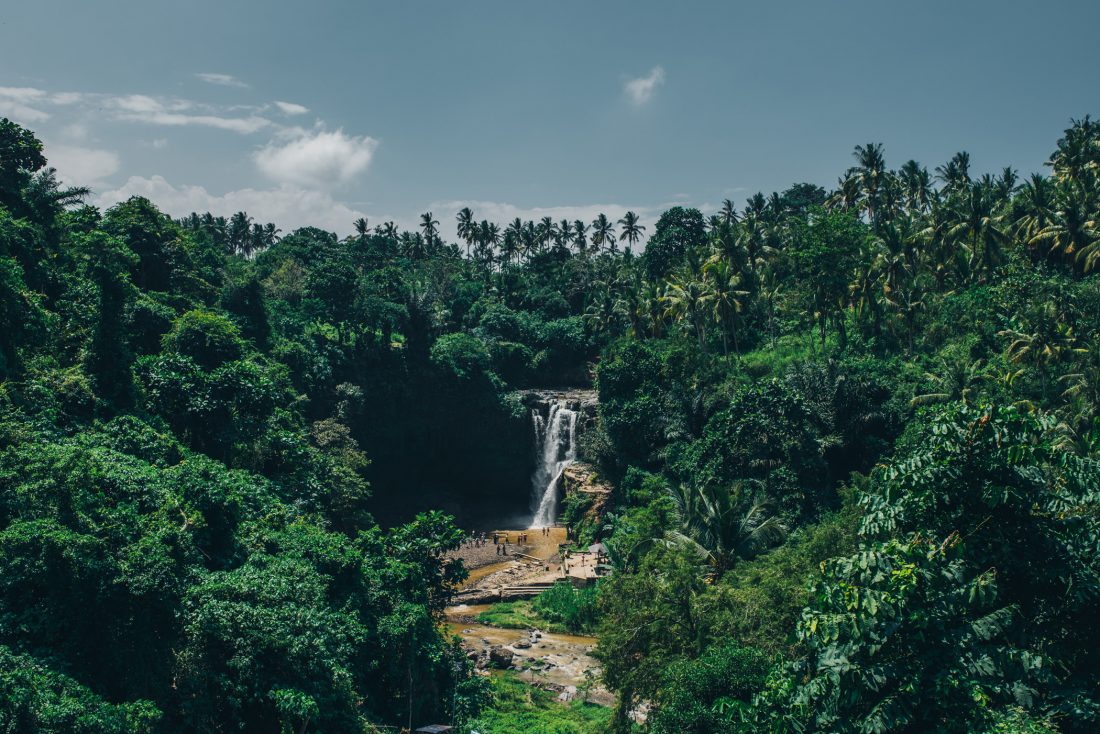 Free stock image of Waterfall, Forest & Blue Sky