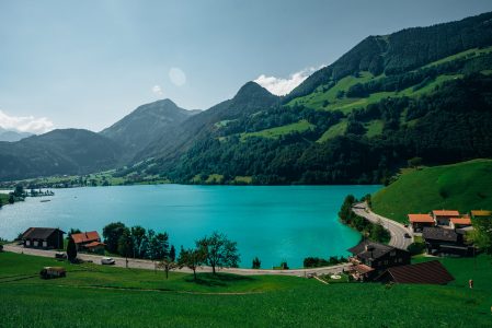 Green Meadow, Blue Lake, Forest & Mountains