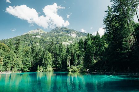 Lake, Forest, Mountains & Clouds