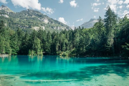 Clear Lake, Forest & Mountains