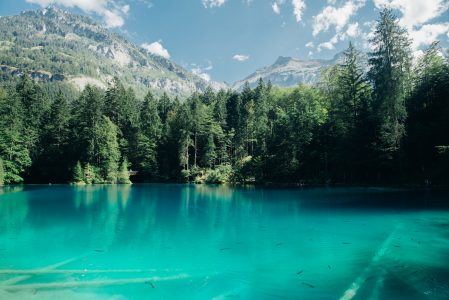 Clear Mountain Lake & Peaks