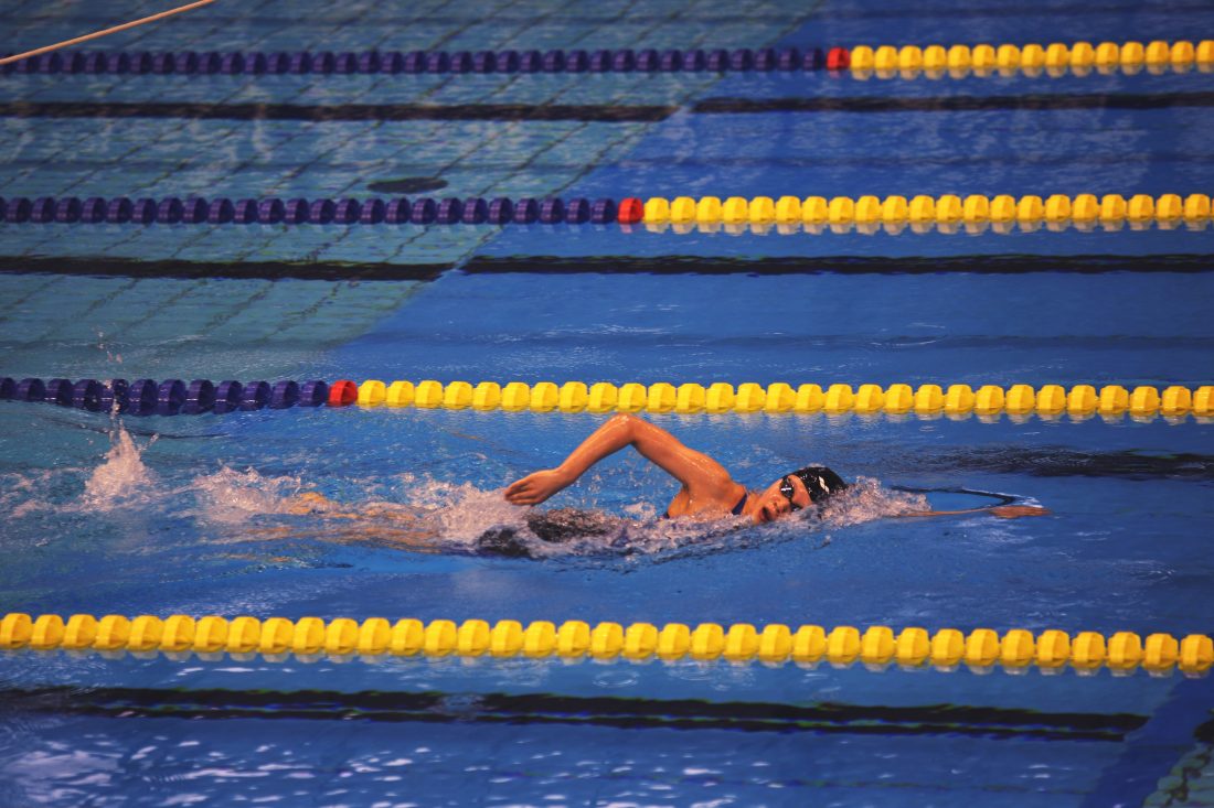 Free stock image of Swimming Race