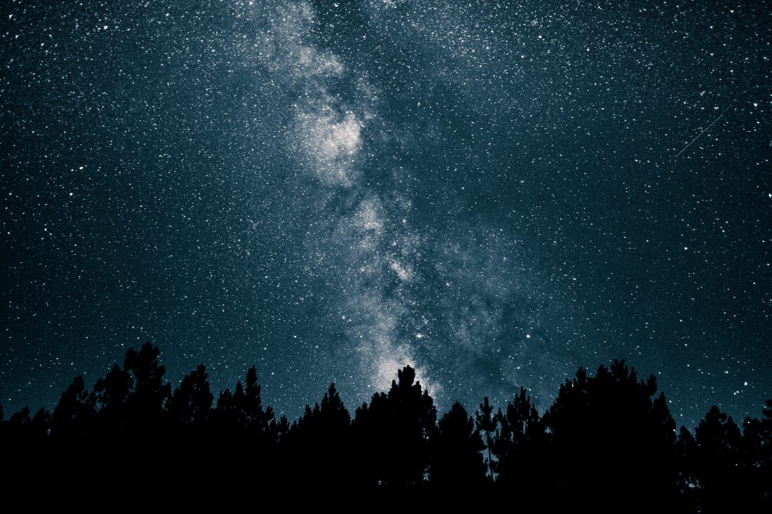 Free stock image of Stars Over Forest