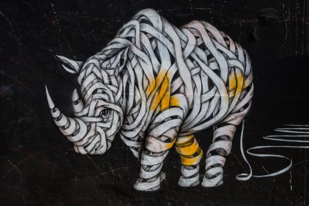 Street Art Rhino