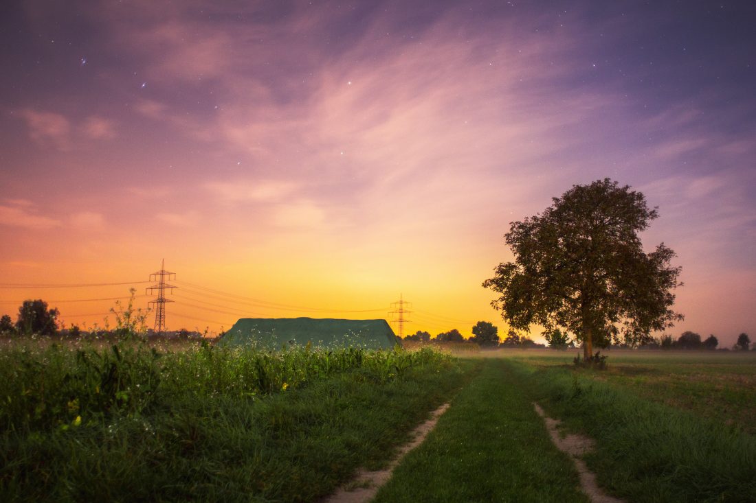 Free stock image of Summer Field at Sunset