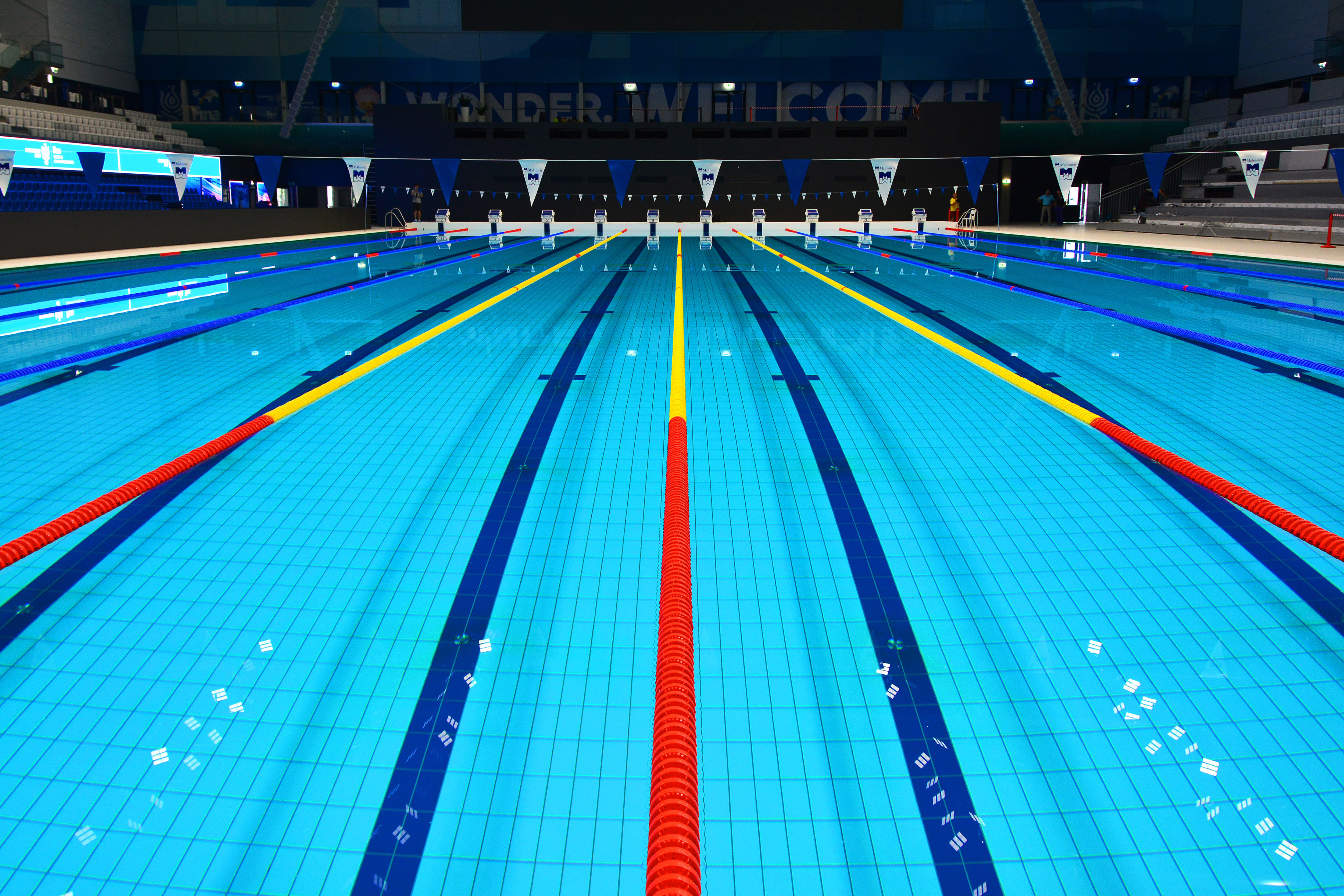 Olympic Swimming Pool Free Stock Photo - ISO Republic