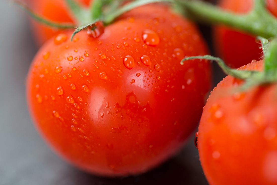 Free stock image of Tomatoes