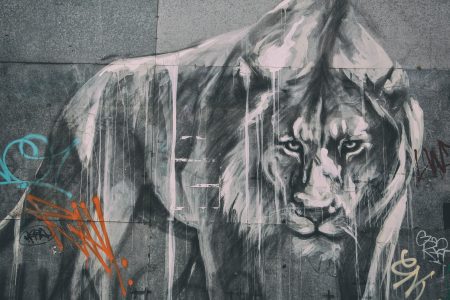 Urban Lion