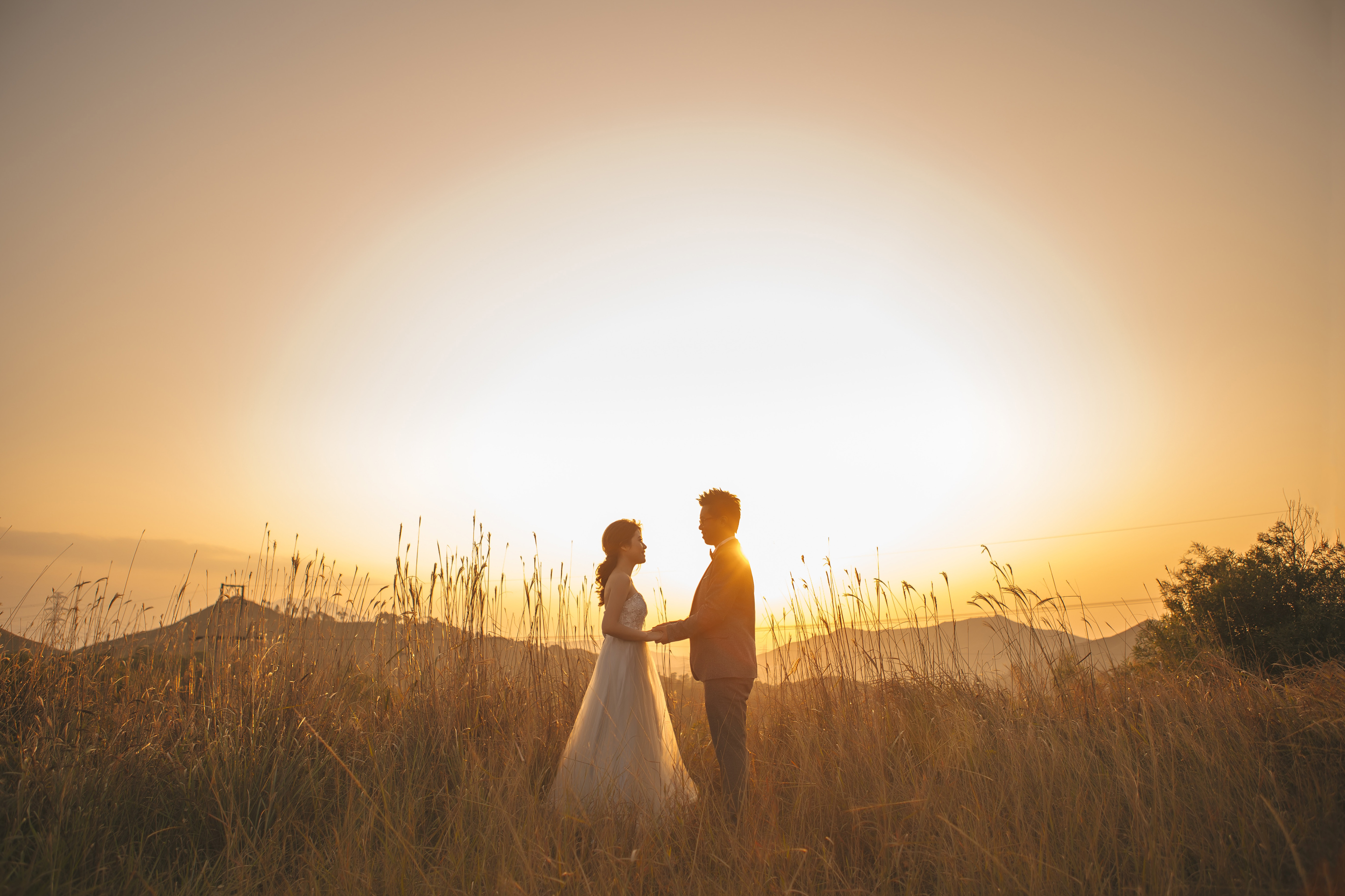 Wedding Sunset Free Stock Photo - ISO Republic