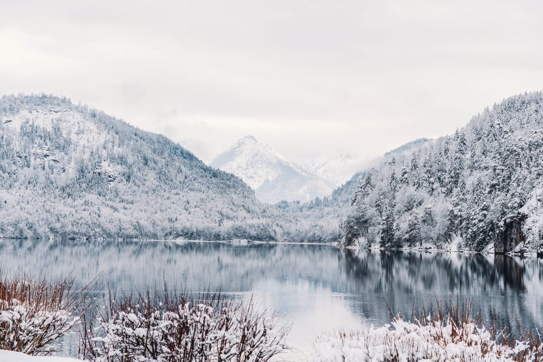 Free stock image of Winter Landscape