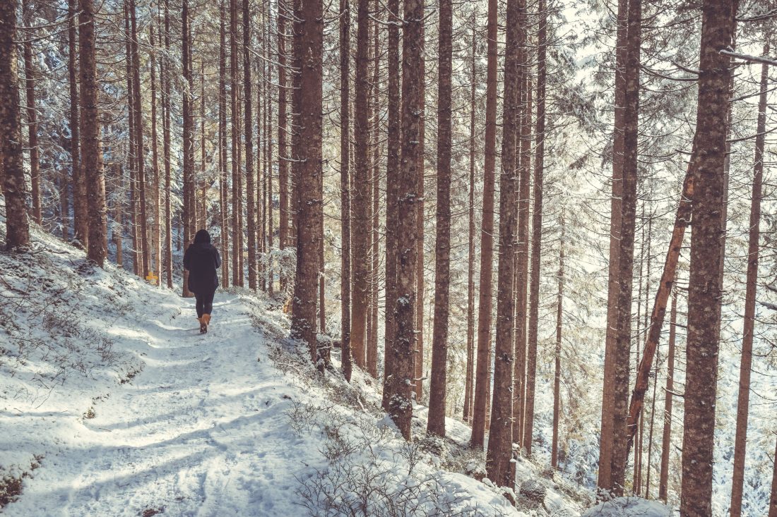 Free stock image of Woman Walking in Winter