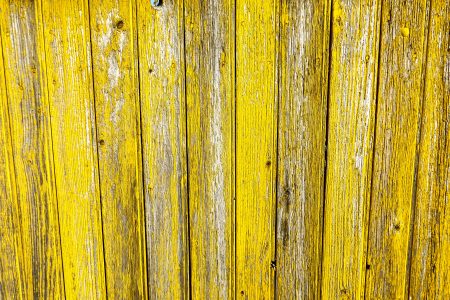 Yellow Wood Fence