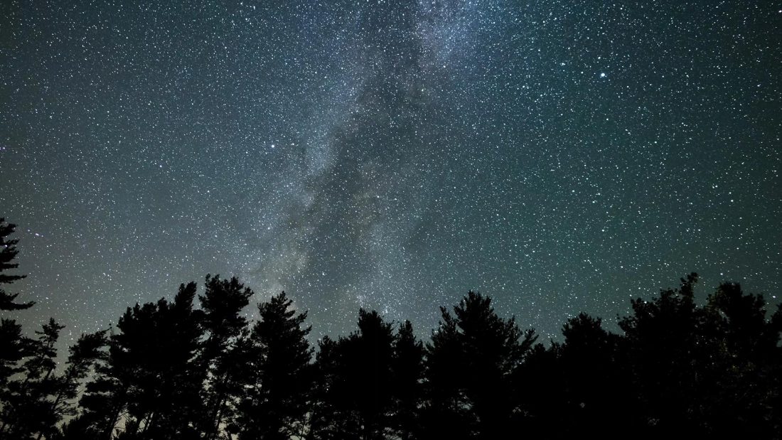 Milky Way Pan Over Tree Silhouettes - free stock photos and videos