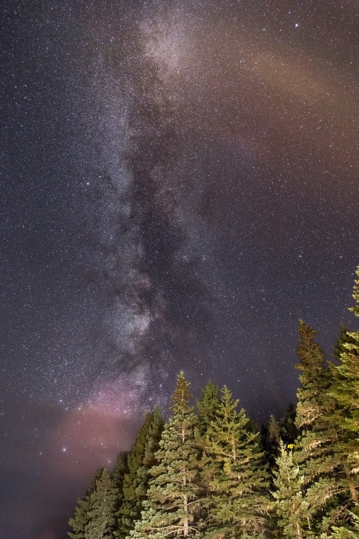 Milky Way Forest Royalty-Free Stock Photo