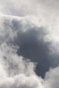 Bird Flying into Clouds