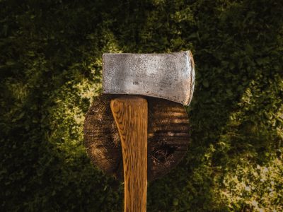 Axe on Tree Stump