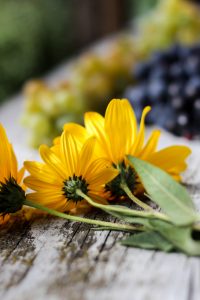 Daisies on table