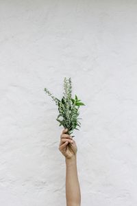 Hand Bouquet