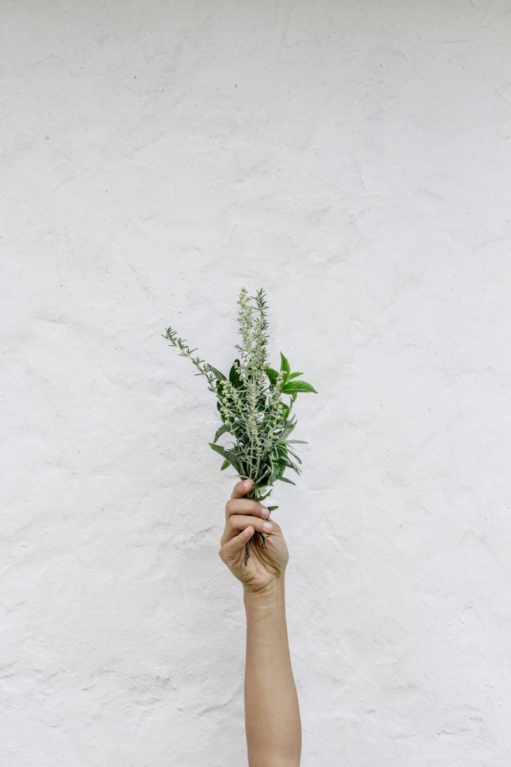 Free stock image of Hand Bouquet