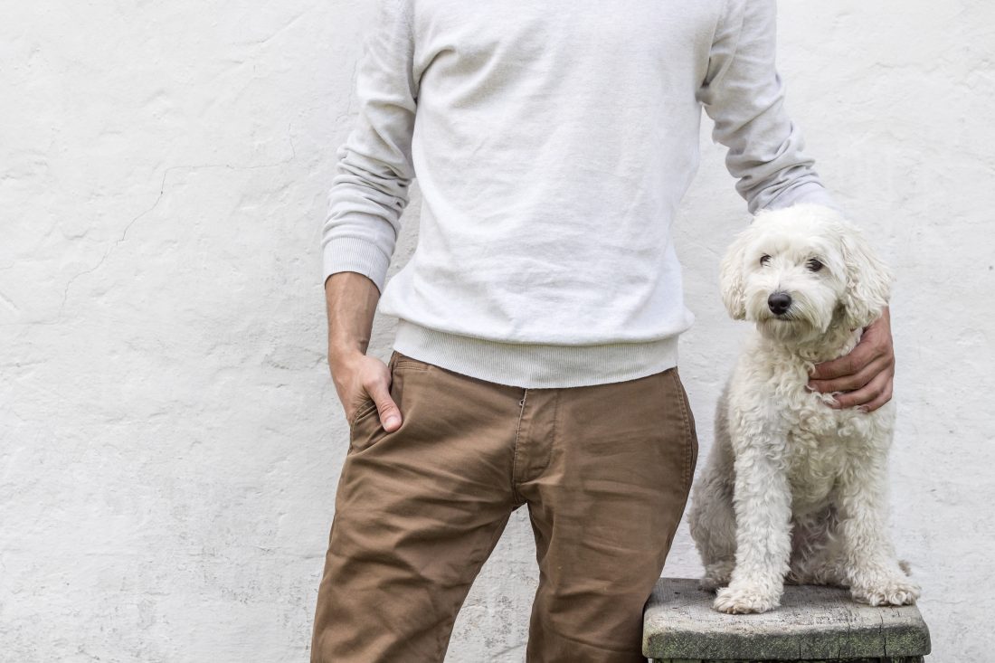 Free stock image of Man and Dog