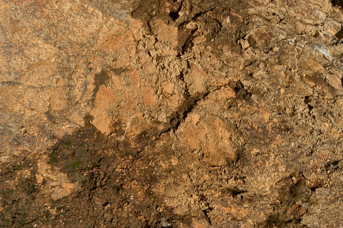 Free stock image of Dirt Background