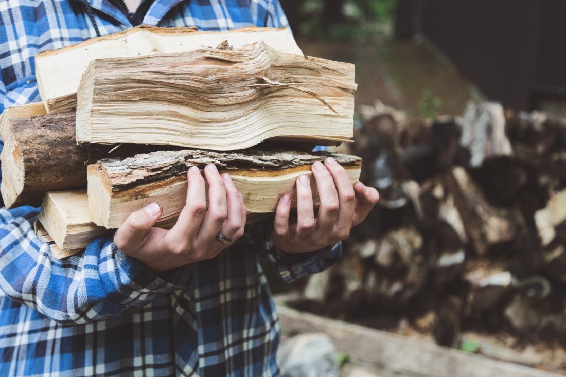 Free stock image of Carrying Firewood