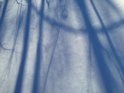 Snow Shadows