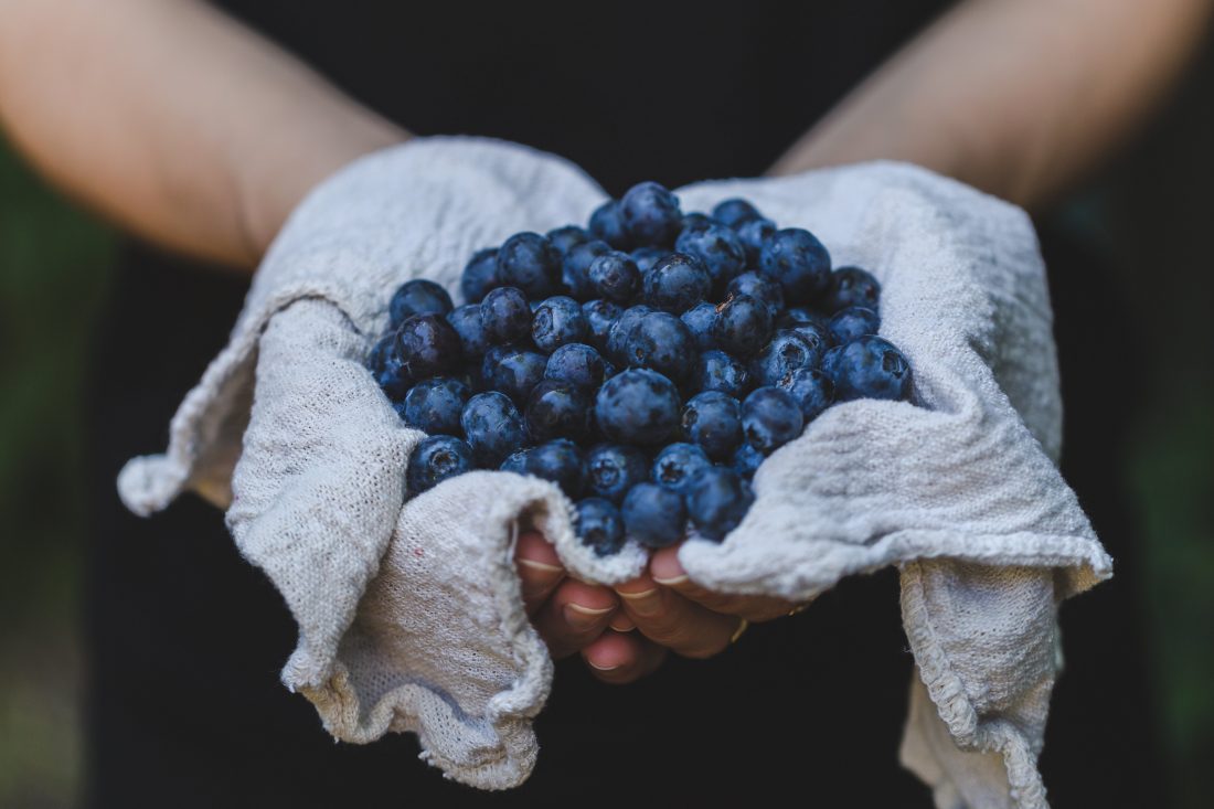 Free stock image of Blueberries in Hands
