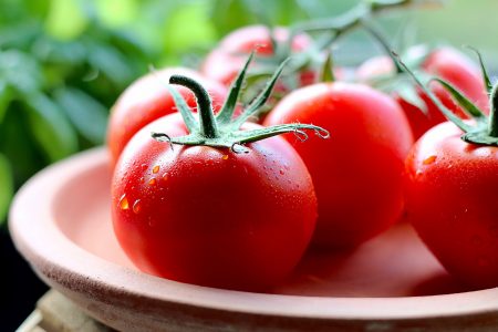 Tomatoes on Vine