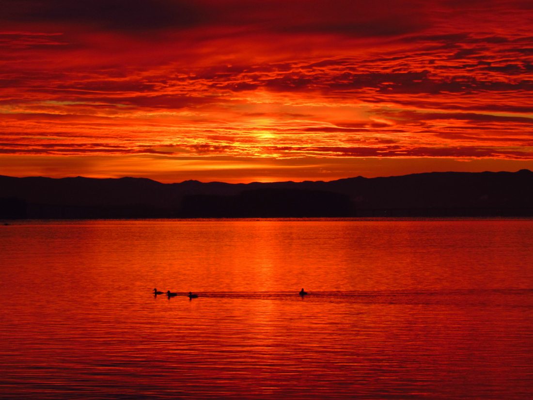 Free stock image of Red Sunset Lake
