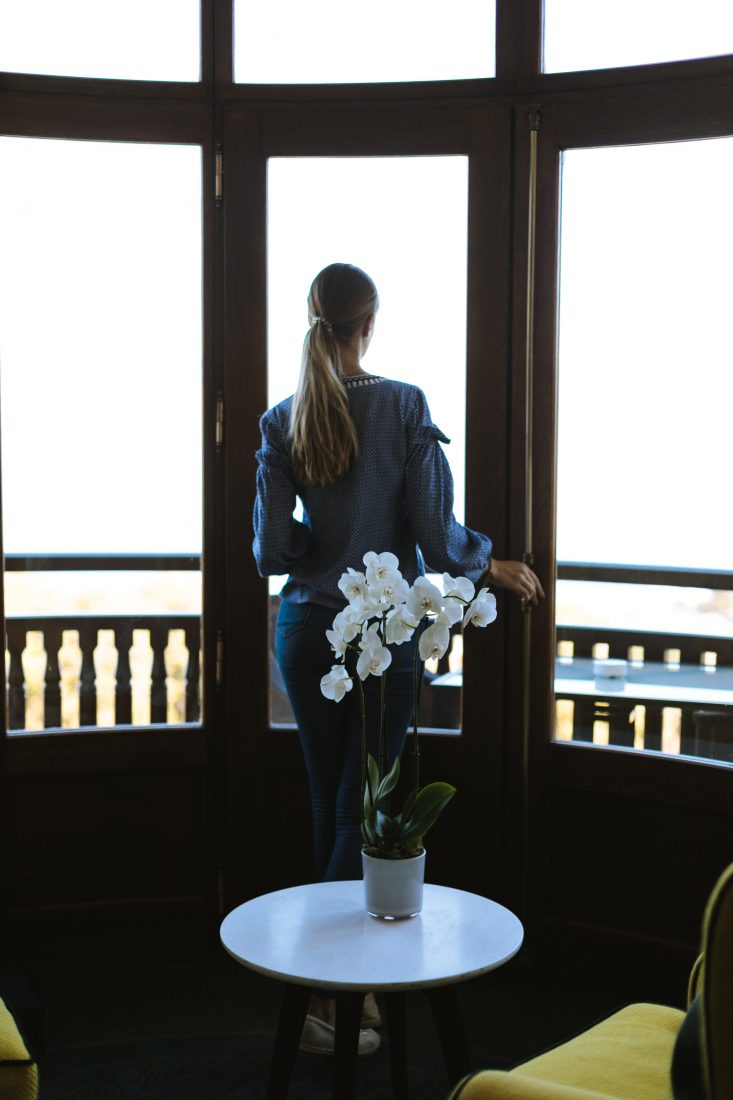 Free stock image of Orchid woman window