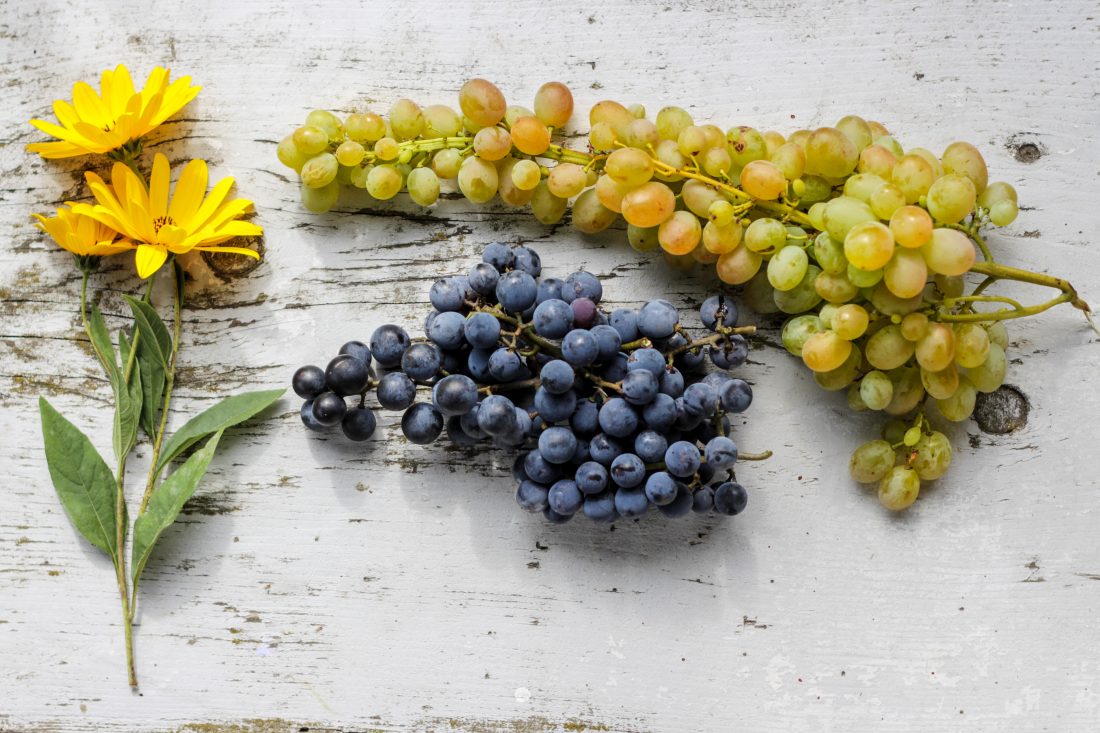 Free stock image of Grapes Flat Lay