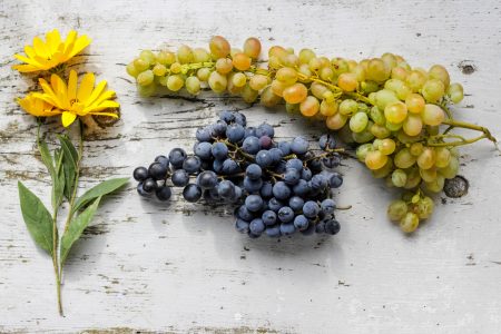 Grapes Flat Lay - Spring Photos