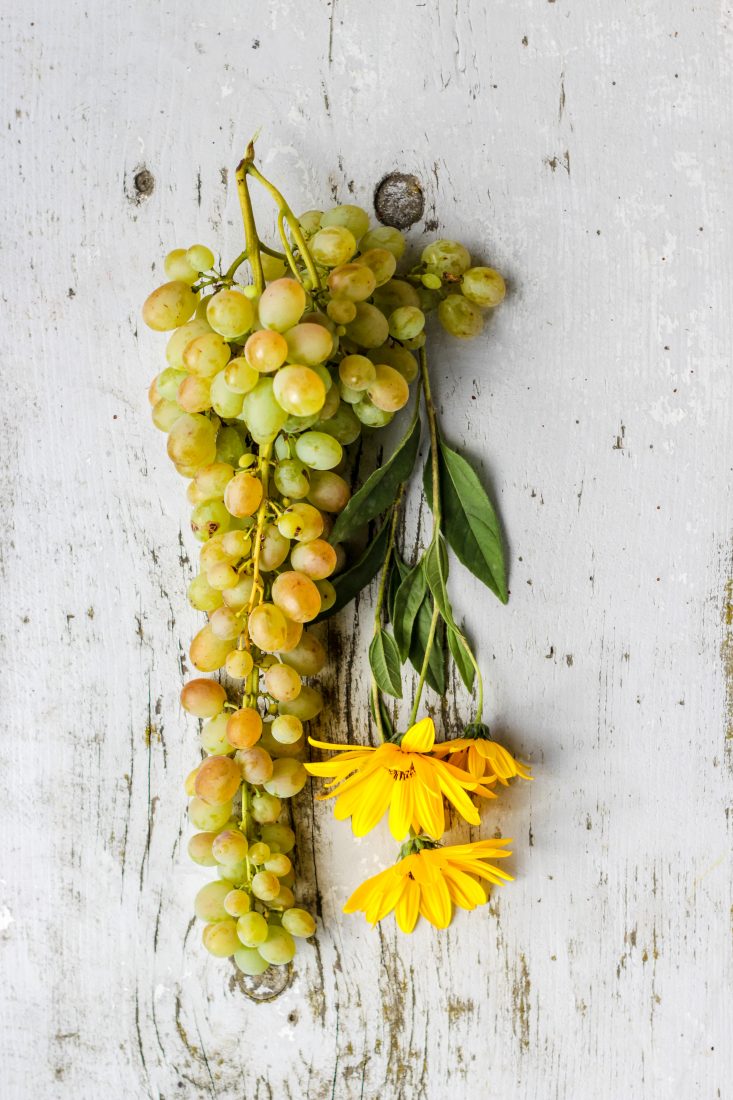 Free stock image of Flowers and Grapes