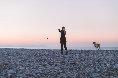 Walking Dog on Beach