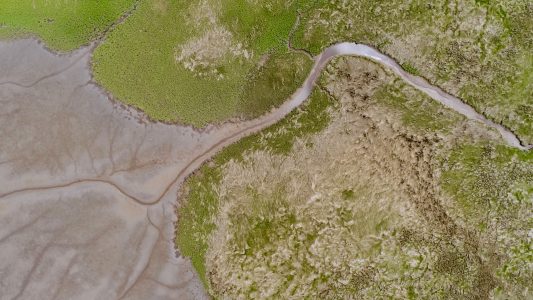 Aerial Coastal View