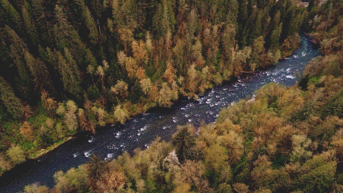 Free stock image of Aerial of River and Forest