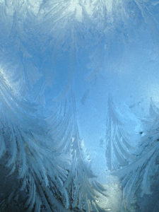 Frost on Window