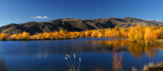 Autumn Foliage Landscape