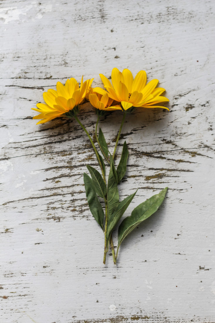 Free stock image of Flat Lay Yellow Flowers