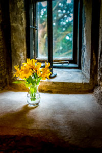 Flowers Vase Window