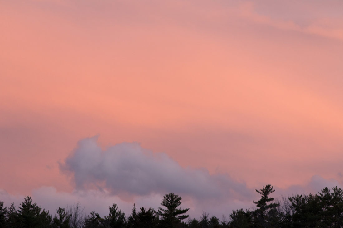 Free stock image of Sunset Clouds Trees