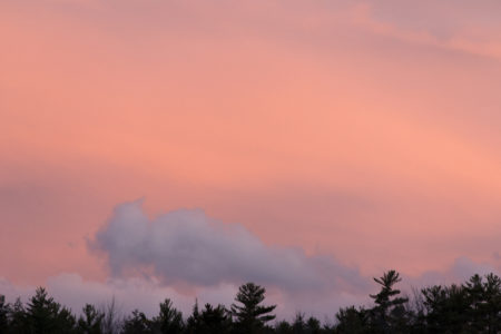 Sunset Clouds Trees