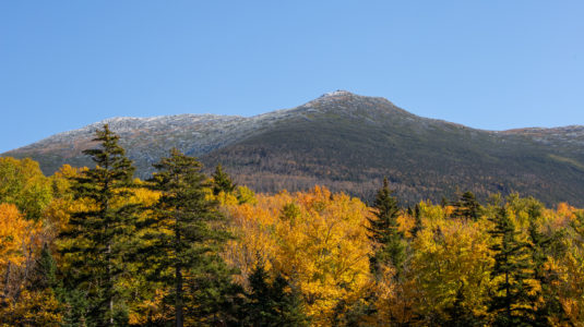 Autumn Landscape