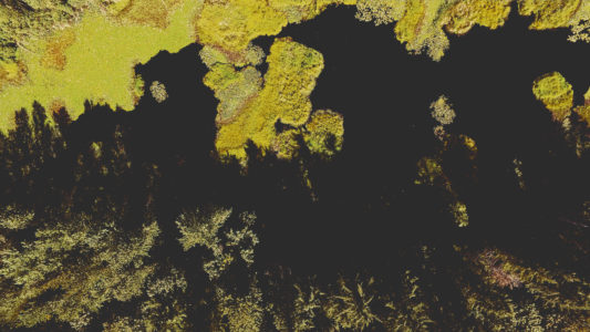 Wetland Marsh Aerial